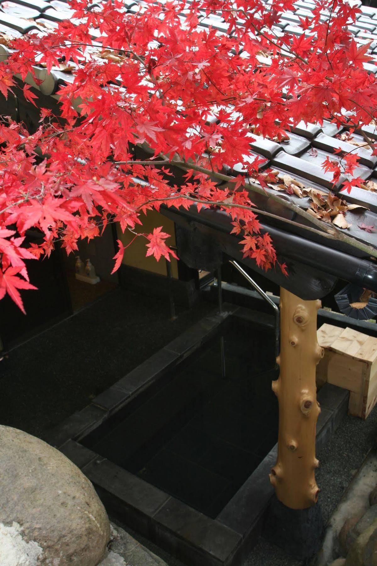 Hotel Yamashinobu Minamioguni Exterior foto